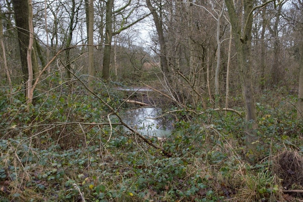 Remains German Anti-tank Ditch Schipborg #4