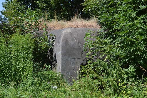 Gefortificeerde Regio Silezi - Artilleriebunker 