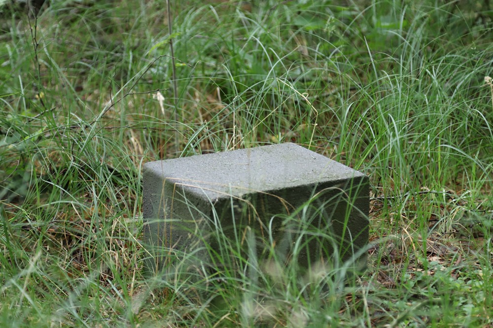 Kamp Erika - Remembrance Stone I #1