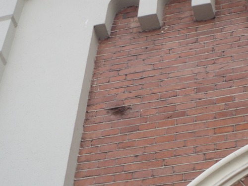 Bullet Impacts Dordrecht Railroad Station #1