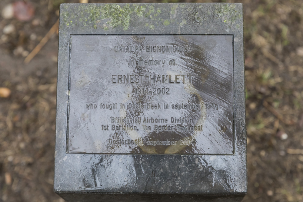 Herdenkingsboom Ernest Hamlett #1