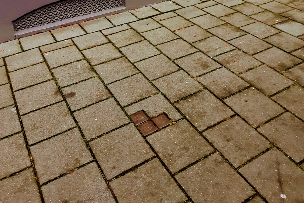 Stumbling Stones Rhijnvis Feithlaan 3 #2