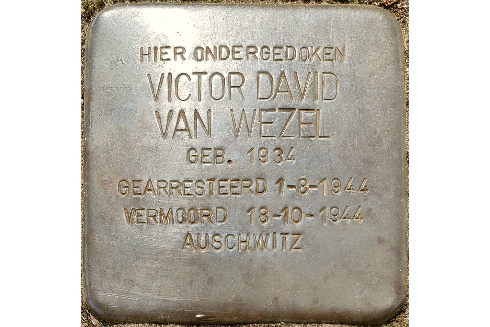 Stolperstein Swolgenseweg 23