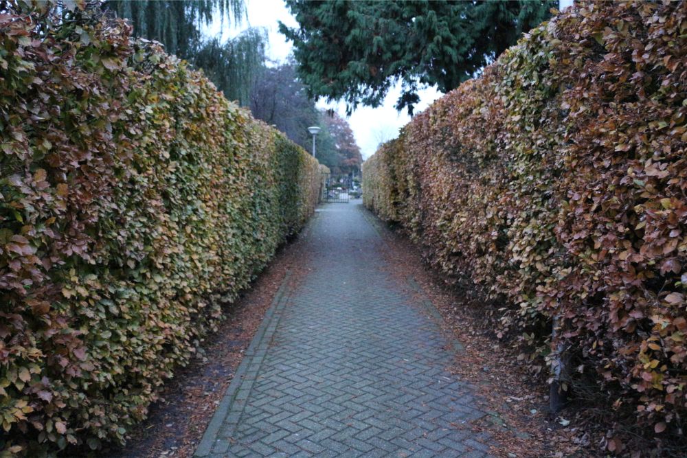 Nederlandse Oorlogsgraven R.K. Begraafplaats St.Clemens Waalwijk #3