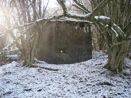 Westwall - Restant MG-bunker Oberemmel #1