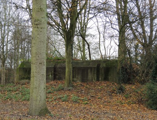Bunker 3 Stützpunkt Brünhild 'Park Toorenvliedt #3