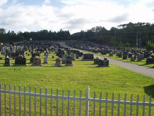 Oorlogsgraven van het Gemenebest Notre Dame des Sept Douleurs Cemetery