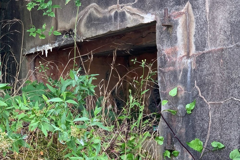 Bunker Vi 11 Visé #2