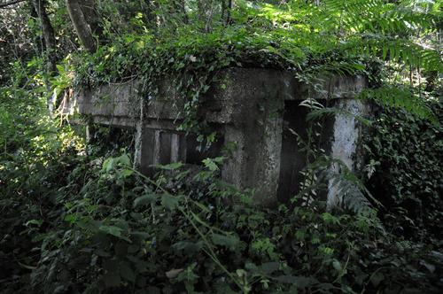 French Casemate #1