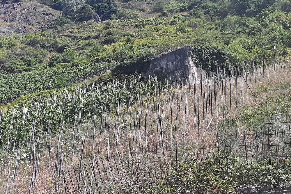 Treiser Tunnel Bunker Bruttig #4