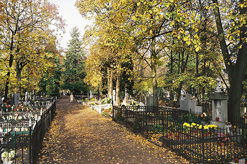 Cemetery sw. Jerzego #1