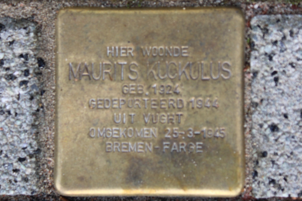 Stumbling Stone Van Montfoortstraat 33