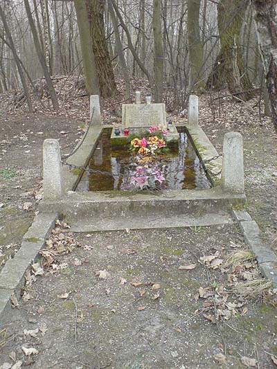 Mass Grave Polish Civillians Pałecznica-Kolonia #1