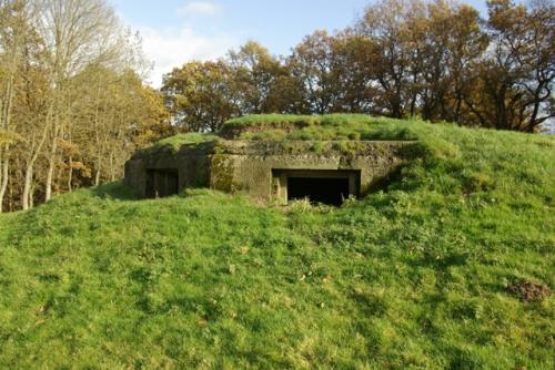 Pillbox FW3/24 Builth Wells #1