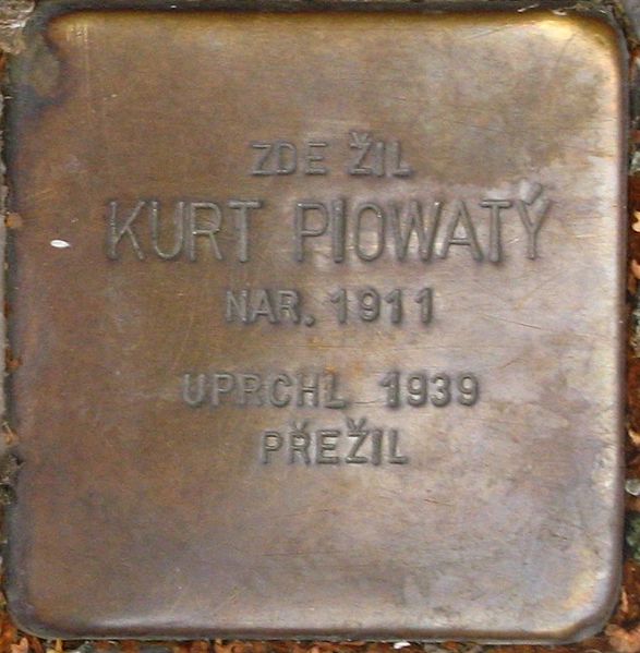 Stolpersteine těpnsk 317/3 #3