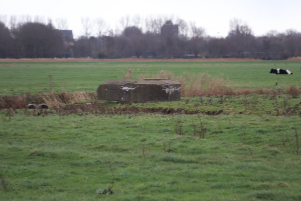 Fliegerhorst Bergen - Ringstand Tobruk Bunker (A15)