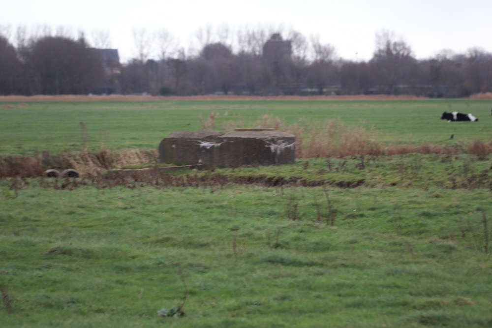 Flugfeld Bergen - Ringstand Tobruk Bunker