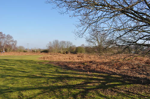 Crashlocatie Spitfire Gevechtsvliegtuig Broome Heath #1