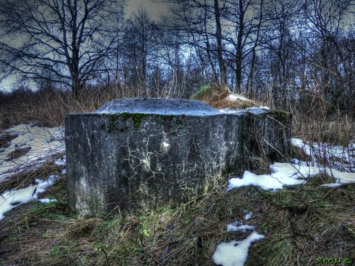 Festung Libau - Ringstand Tobruk #1