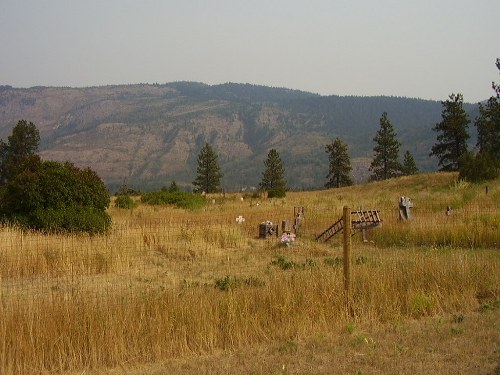 Oorlogsgraf van het Gemenebest Neskainlith Cemetery