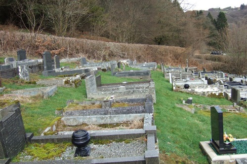 Commonwealth War Grave St. David Churchyard #1