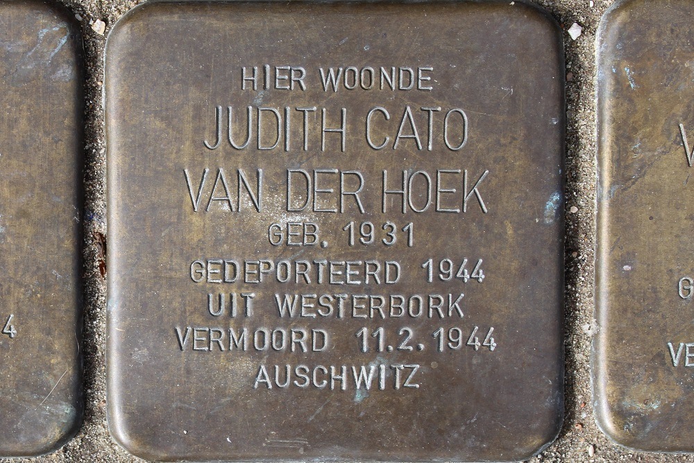 Stumbling Stones Lamarckstraat 41 #3