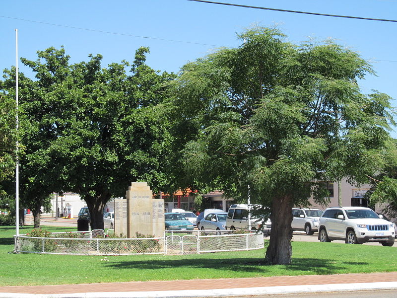 Oorlogsmonument Merredin #1