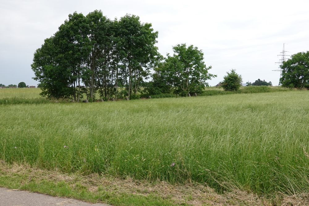 Westwall - Tank Barrier Kohlscheid #2