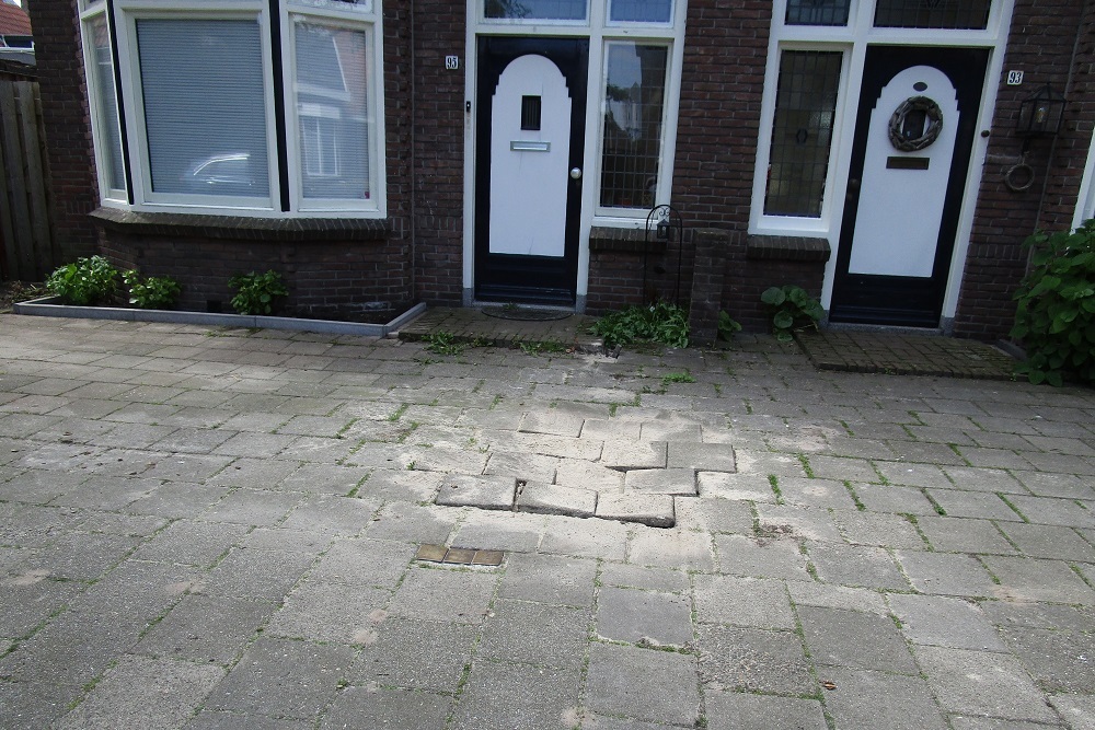 Stumbling Stones Rozenstraat 95 #5