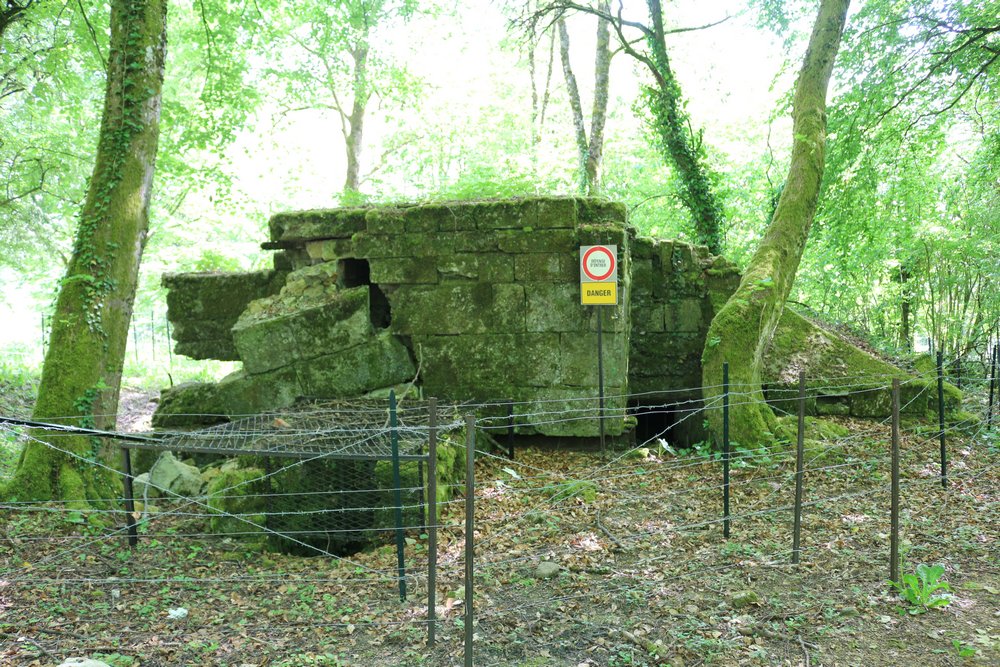 Duitse Bunker Montfaucon-d'Argonne #2