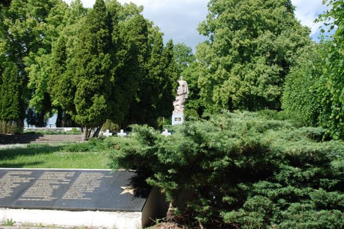 Soviet-Polish War Cemetery Myślibrz #2