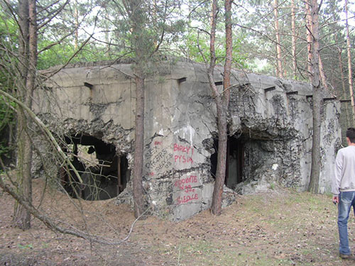 Molotov Line - Remains Casemate #1