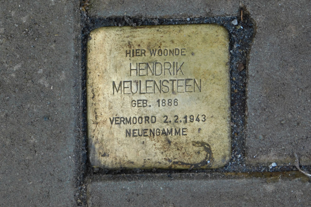 Stolperstein Fransensingel 65