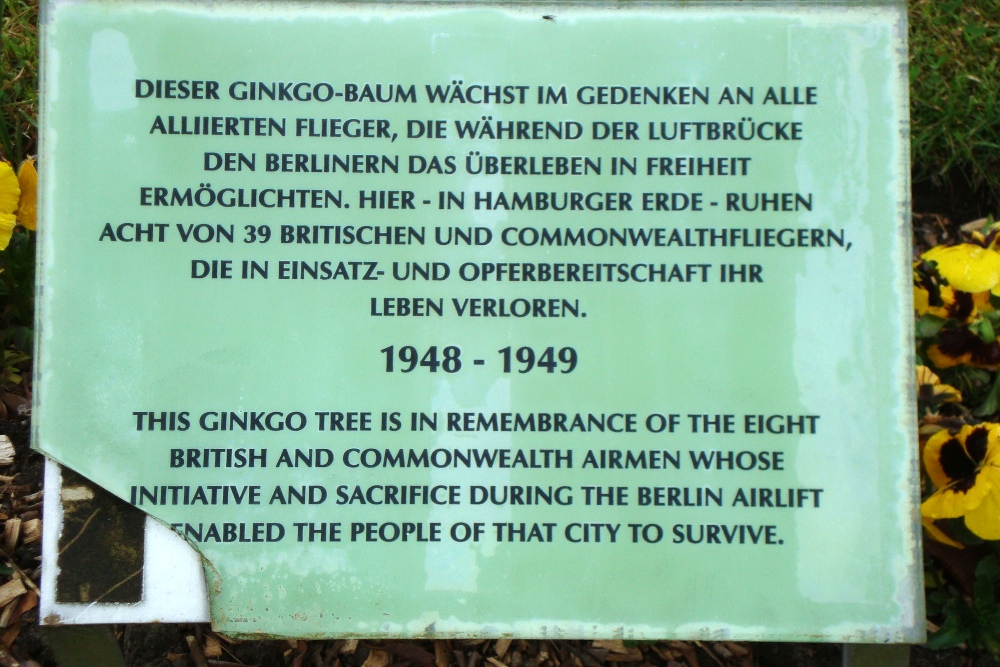 Ginkgo Boom Begraafplaats Friedhof Ohlsdorf Hamburg #1