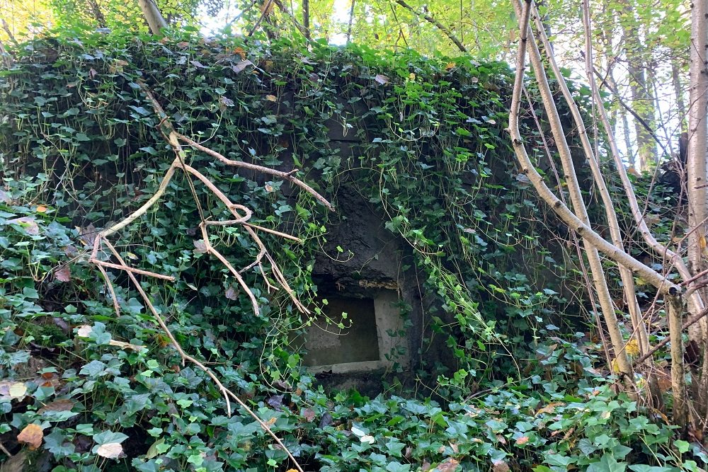Bunker BV 10 Jevoumont #5