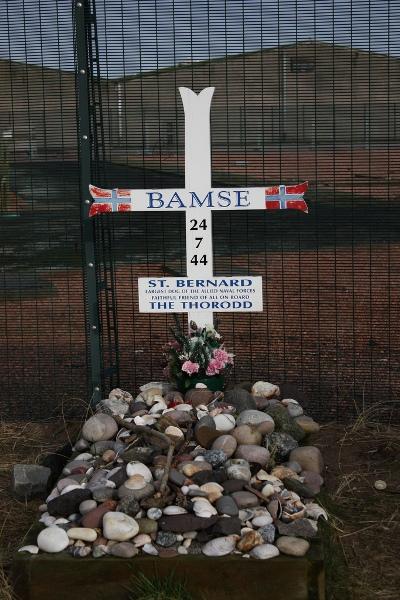 Grave St. Bernard Dog Bamse #1