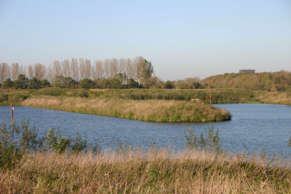 Duitse Tobruk Bunker Vloeivelden Suikerunie #5