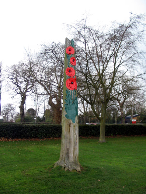 Poppies Tree Stump Coventry #1