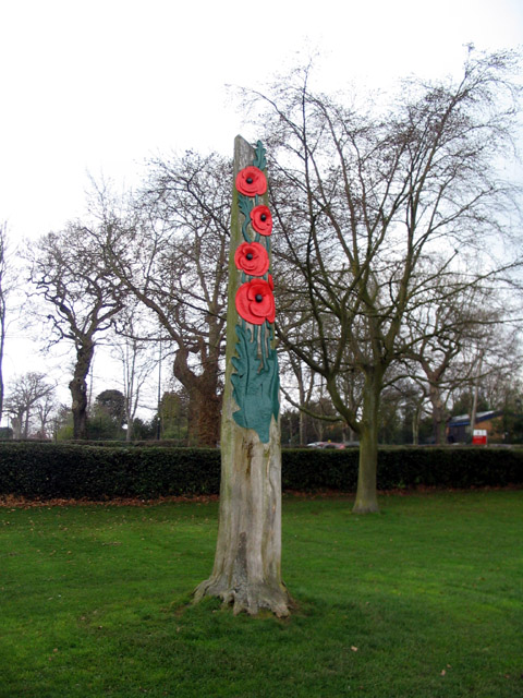 Poppies Boomstronk Coventry