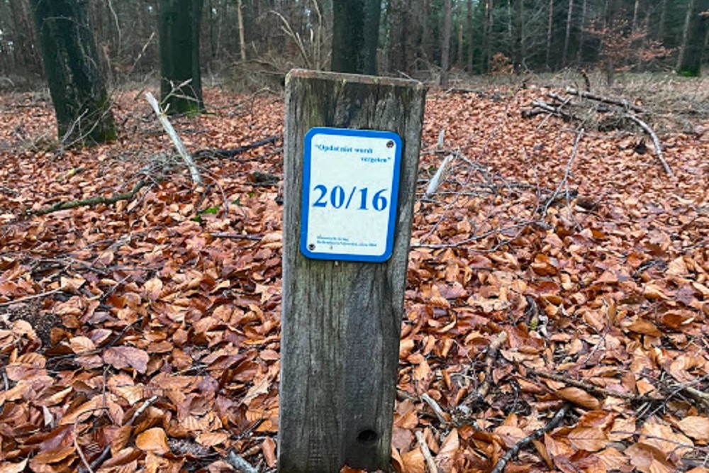 Crashlocatie 20 Opdat Niet Wordt Vergeten Hellendoorn