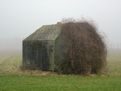 Groepsschuilplaats Type P Sleeuwijk #1