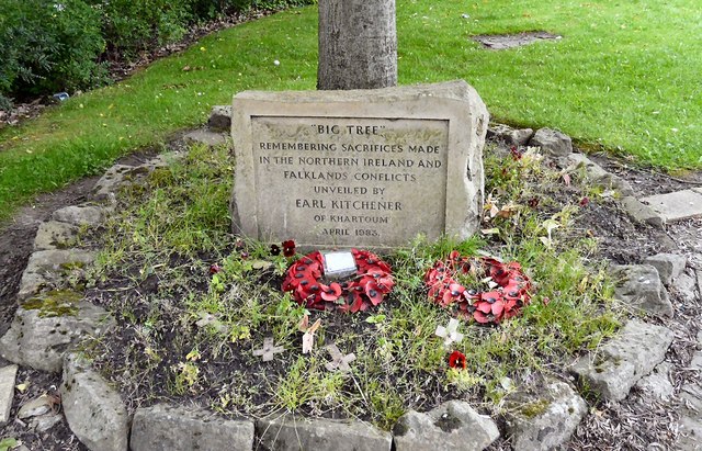 Memorial Tree Gee Cross #2