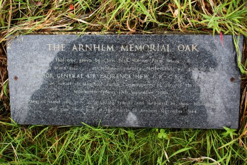 The Arnhem Memorial Oak #1