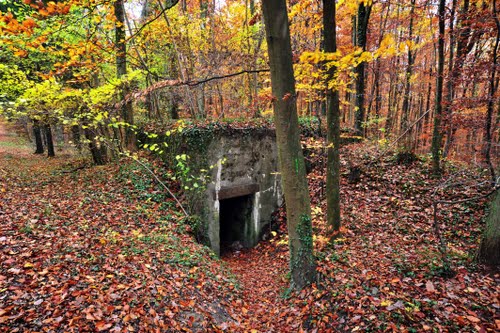 Westwall - Bunker #1