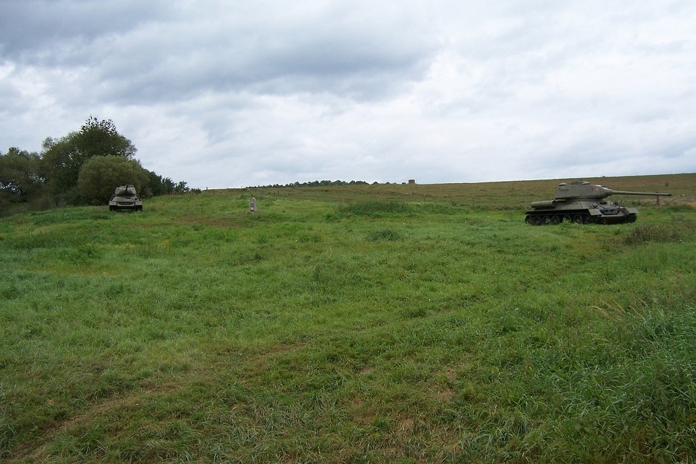 Soviet War Grave Kapiov #3