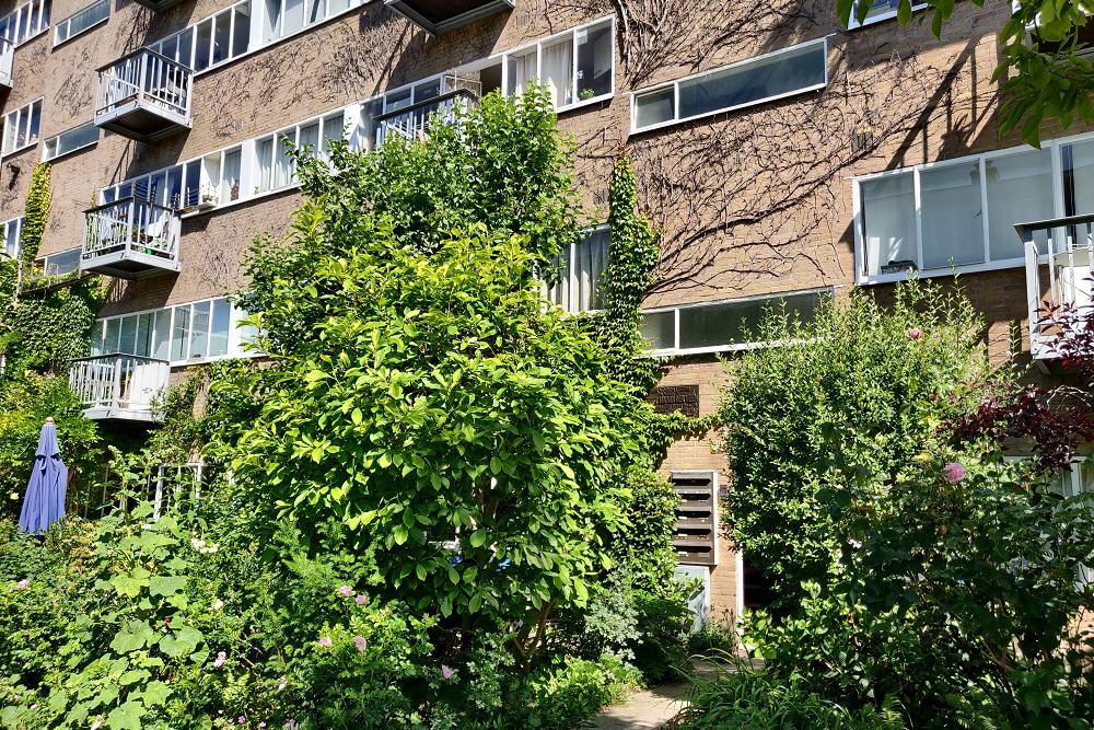 Memorial Former Home Gerrit van der Veen Zomerdijkstraat #2