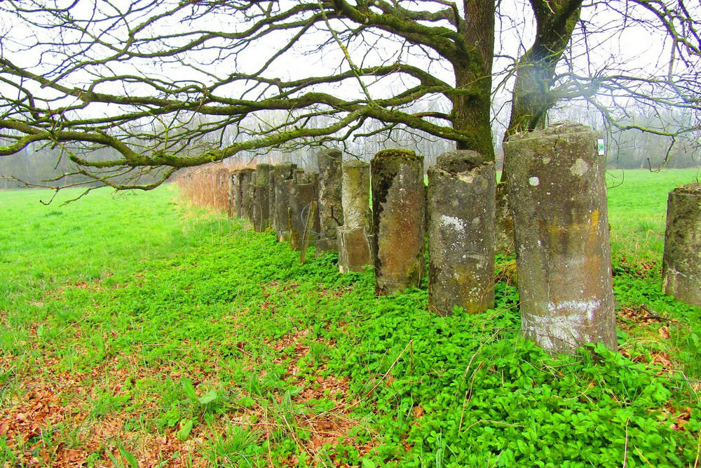 Anti-tank Line Bovigny #3