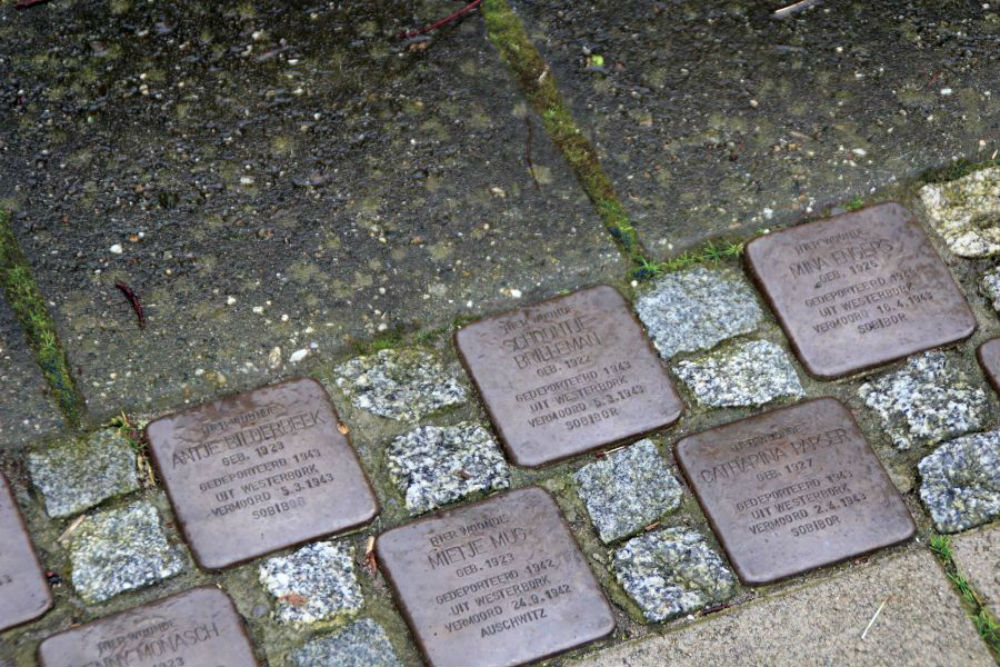 Stolpersteine Huize Dina Duinlustparkweg 96 (was nr. 60) #2