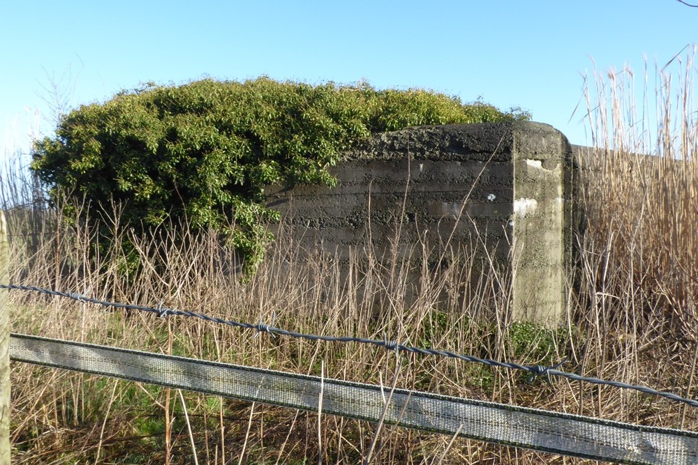 Bunker Belt Bruggenhoofd Gent - Advanced Bunker AV13 #2