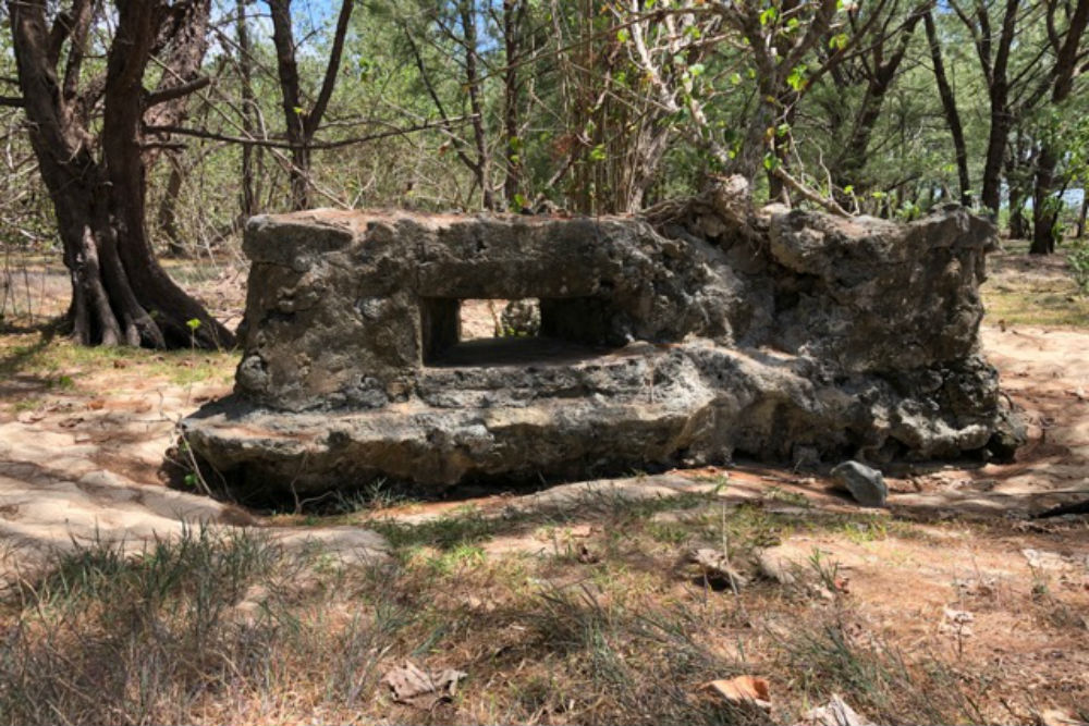WOII Bunker Ruïnes